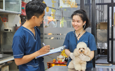dịch vụ thú cưng