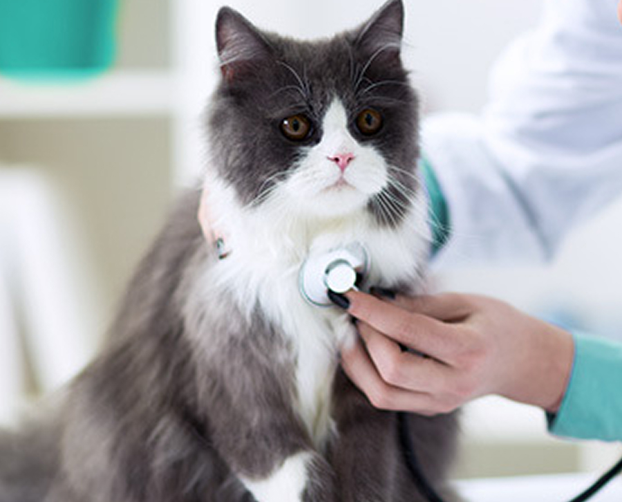 Lịch hẹn & nhắc nhở