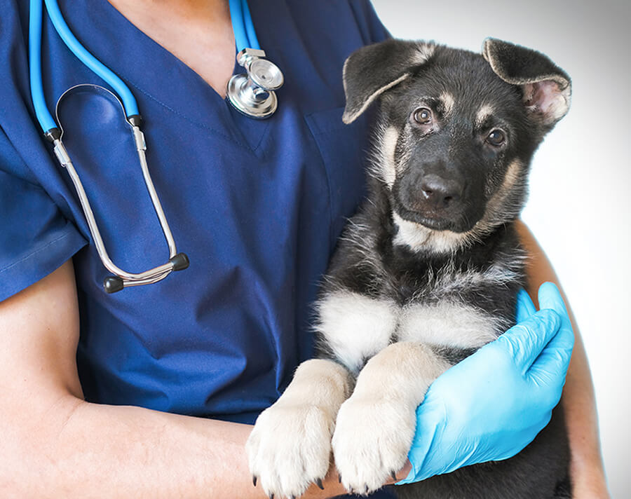 Bệnh án & sổ tiêm chủng