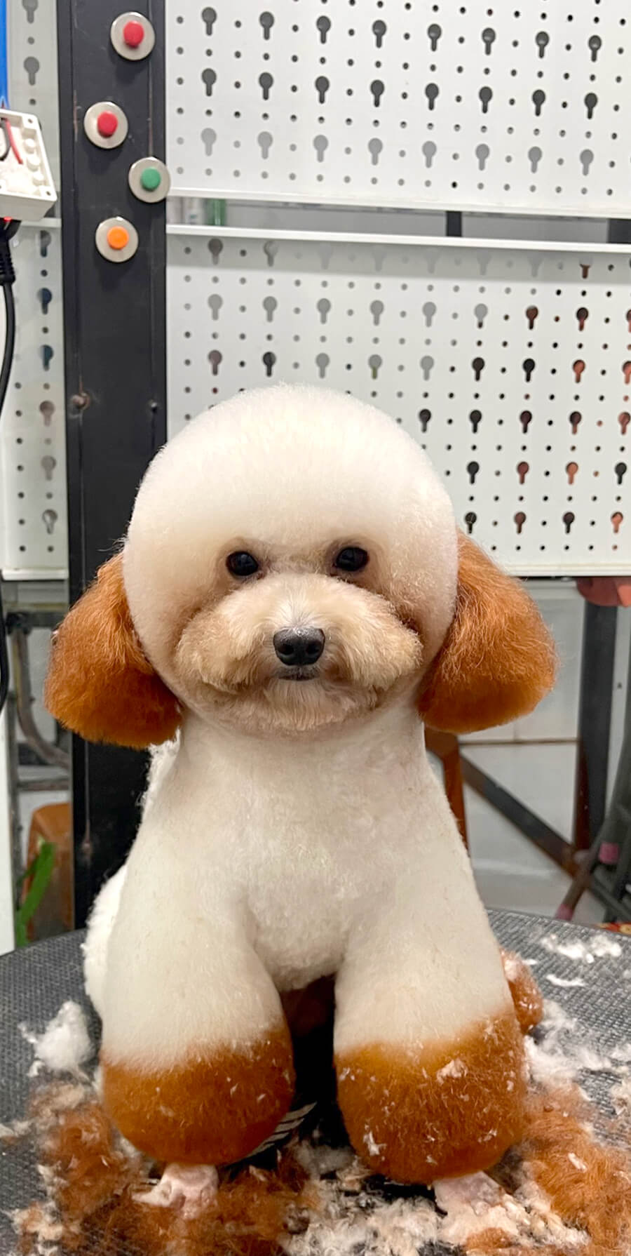 Chăm sóc khách hàng