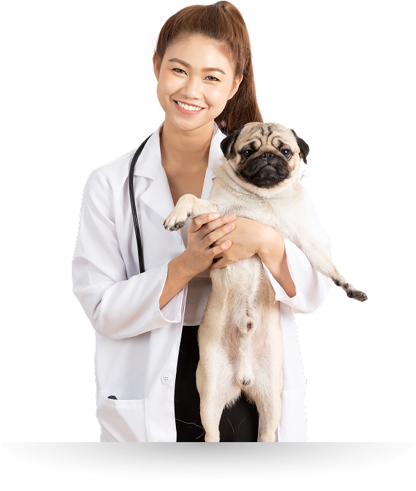 Được thiết kế tối ưu cho
                                nhiều loại hình kinh doanh thú y